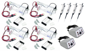 EL-100-32 Electrophoresis Four Station