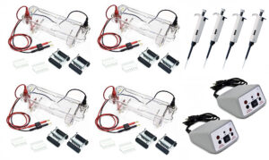EL-200-32 Electrophoresis Four Station