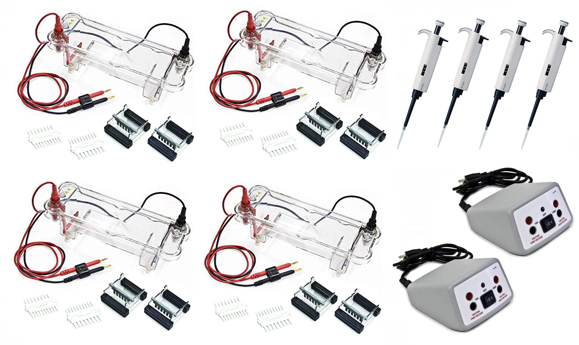 EL-200-32 Electrophoresis Four Station