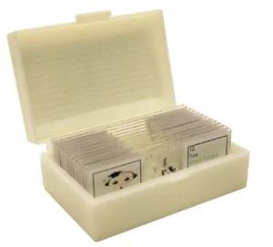 Introductory Plastic Prepared Slide Set