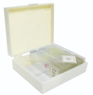 Basic Botany Prepared Slide Set