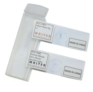 Mitosis Prepared Slide Set