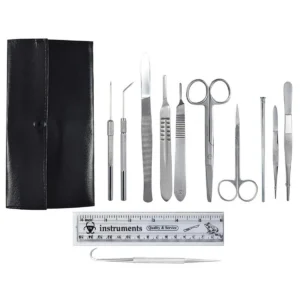 Dissection