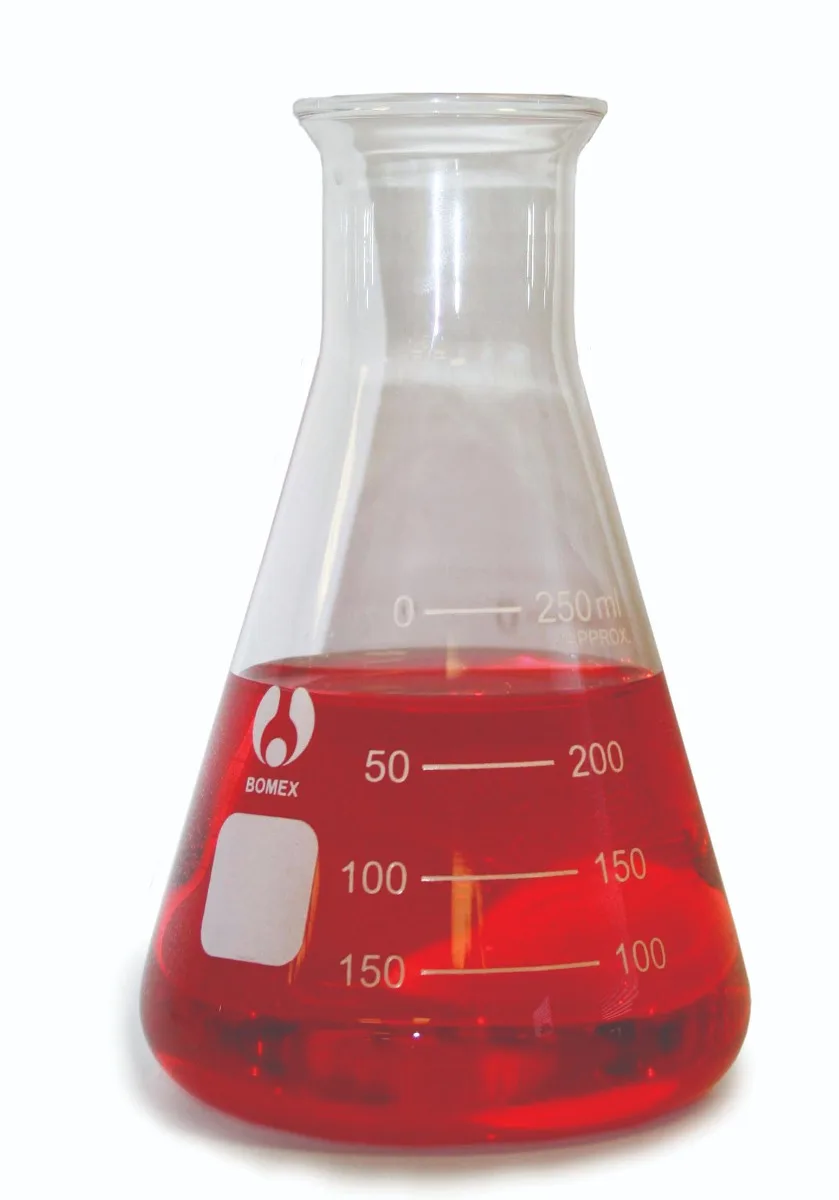 Erlenmeyer Flasks