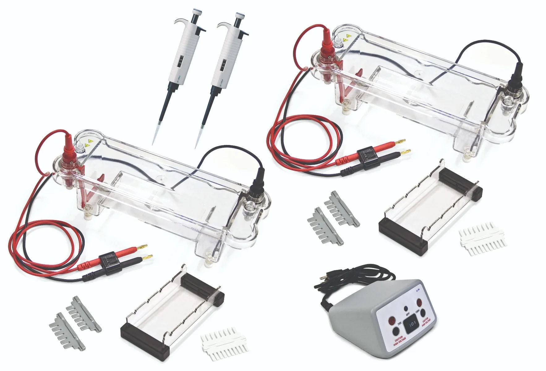 EL-100-16 Electrophoresis Dual Station