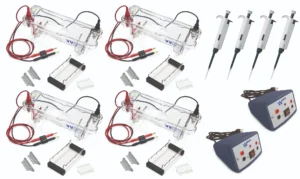 EL-100-32 Electrophoresis Four Station