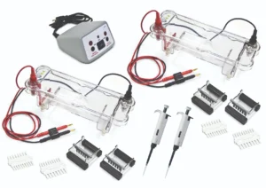 EL-200-16 Electrophoresis Dual Station