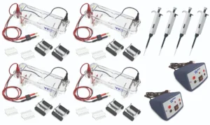 EL-200-32 Electrophoresis Four Station