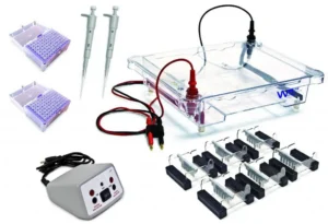 EL-600-24 Electrophoresis Classroom Kit