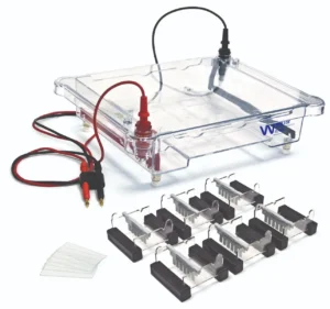EL-600 Electrophoresis Apparatus