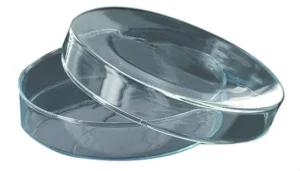 Student Grade Glass Petri Dishes