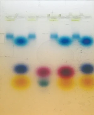 Analysis of Photosynthetic Pigments Kit