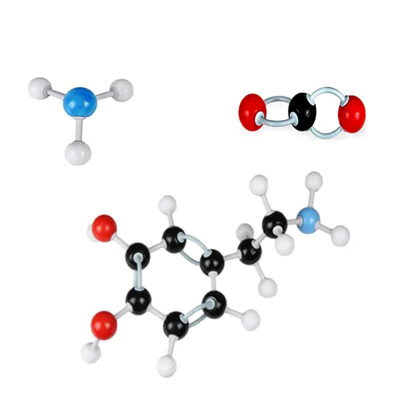 Structural Molecular Model Set - Image 2
