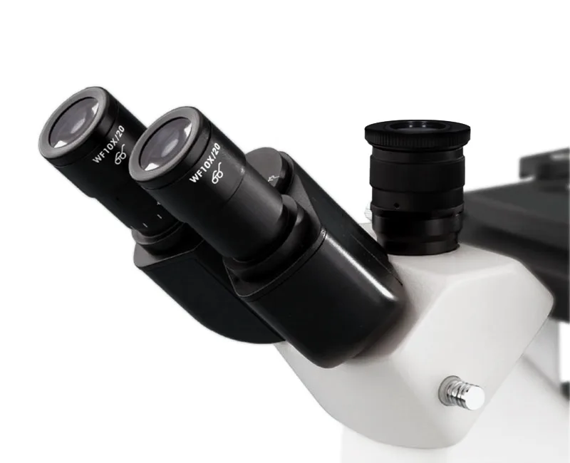 AI500 Series Inverted Microscopes - Image 3