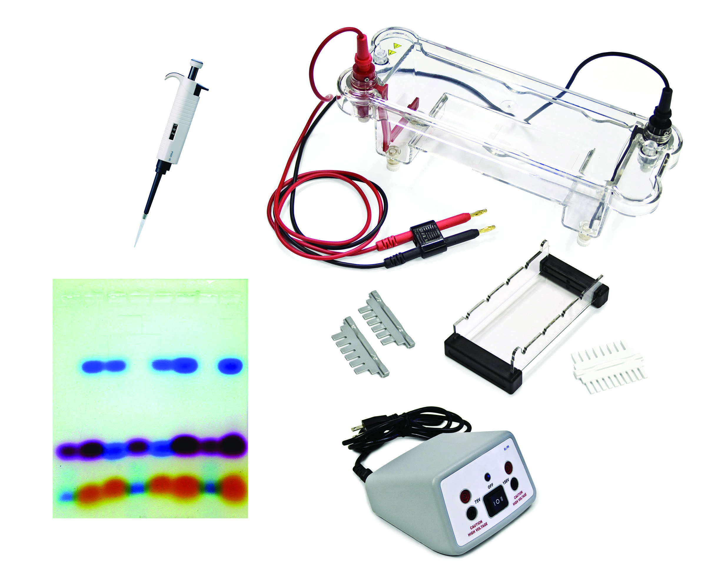 EL-100-K4 Demonstration Electrophoresis Kit