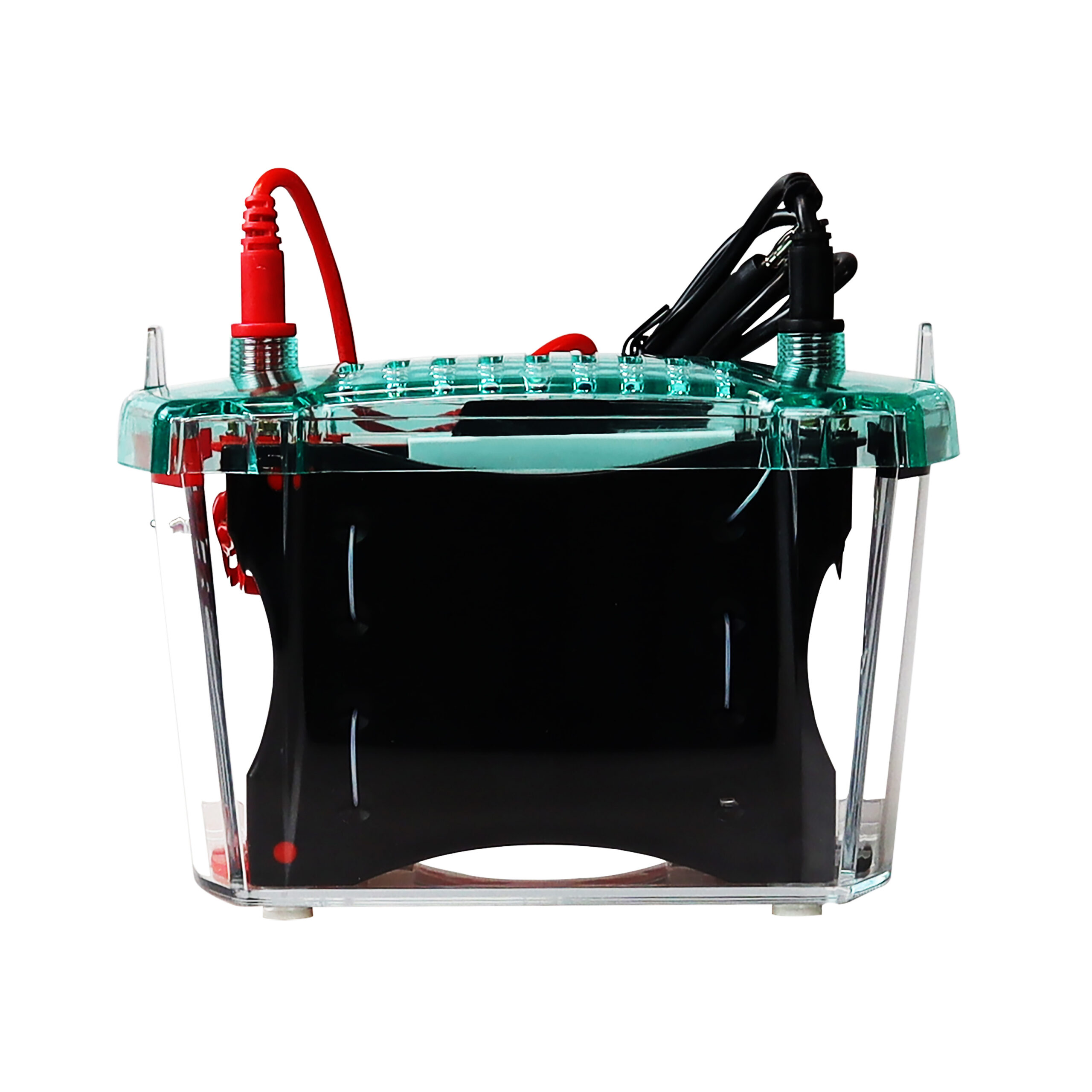 Electrophoresis Transfer System - Image 2