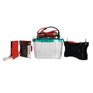 Electrophoresis Transfer System