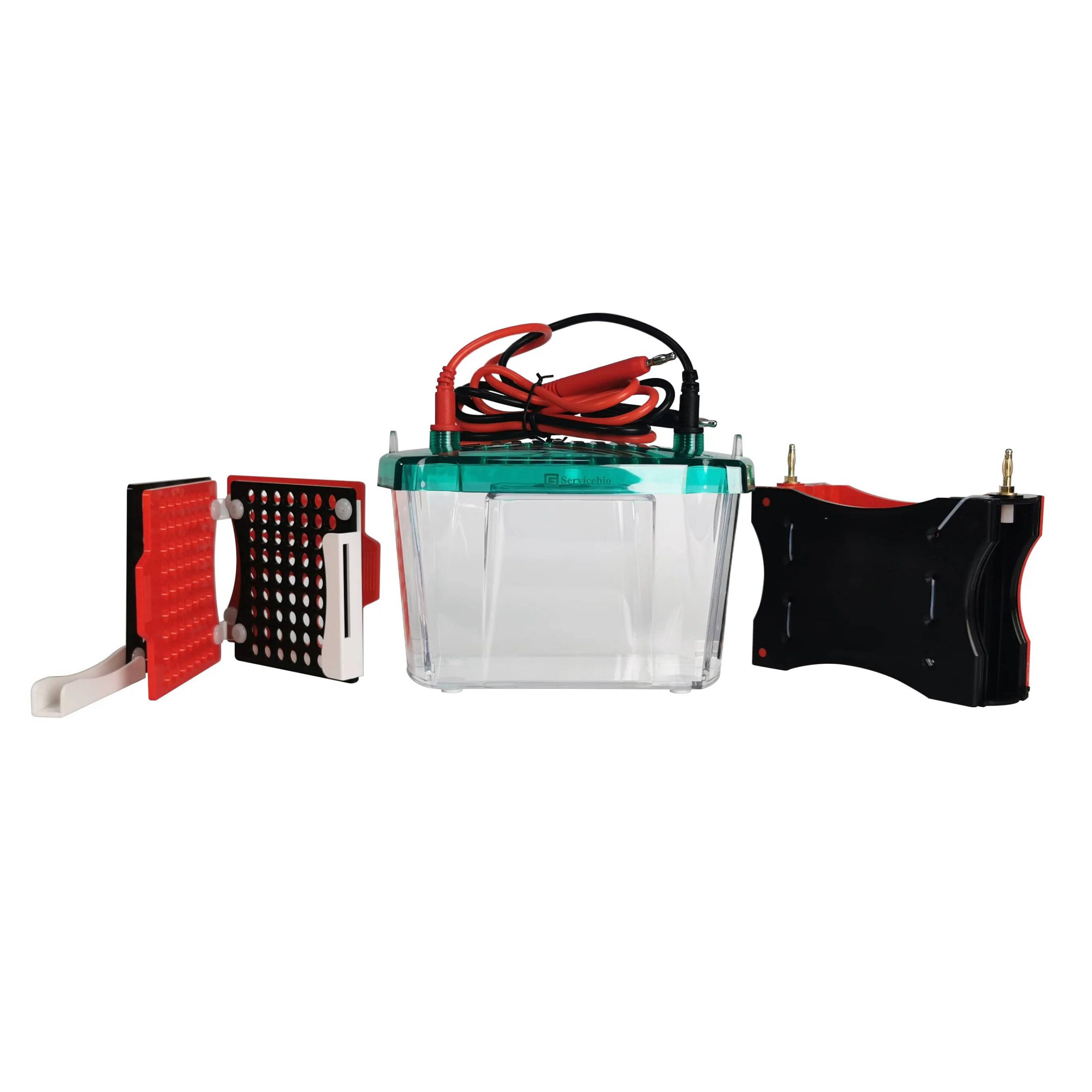 Electrophoresis Transfer System