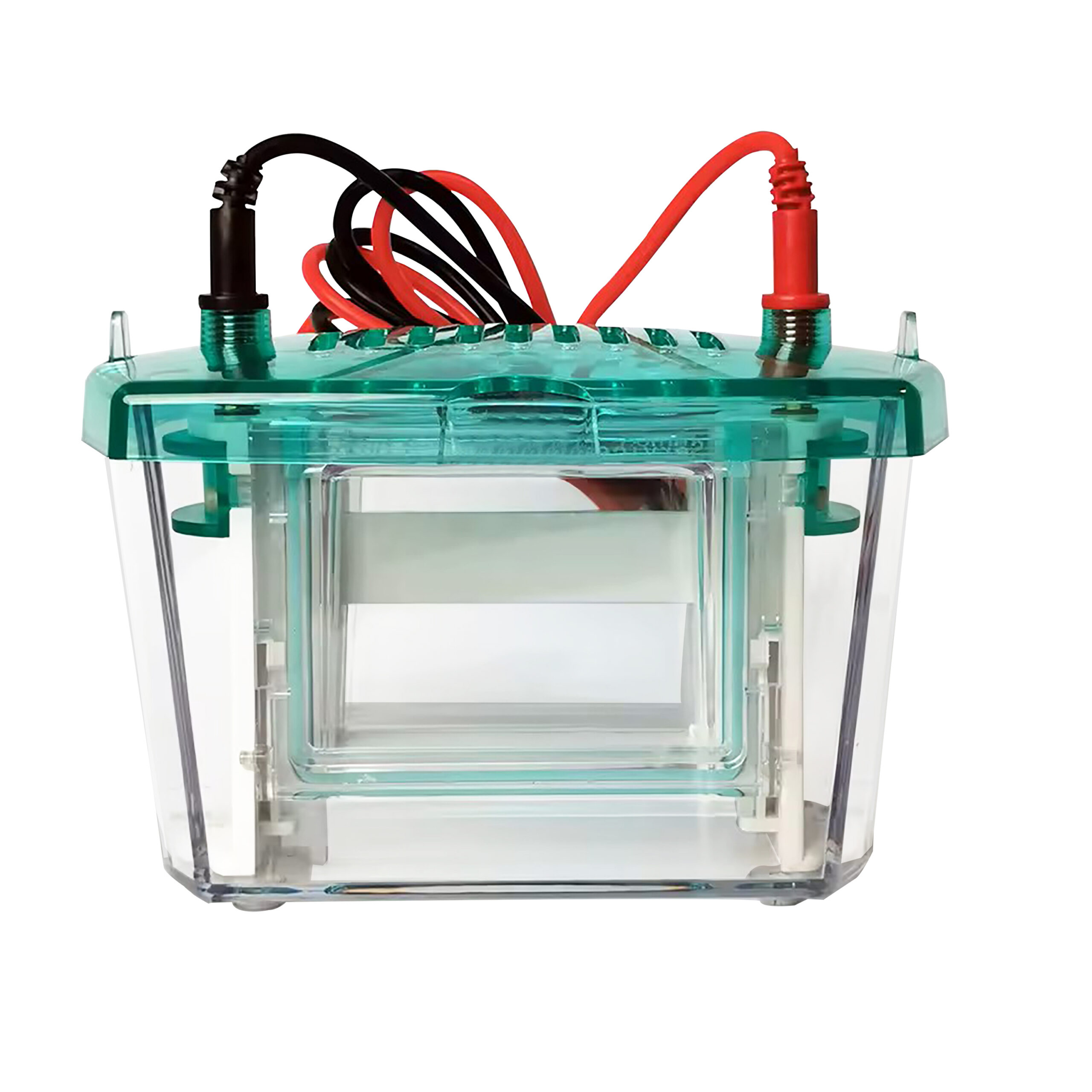 Vertical Electrophoresis System - Image 2