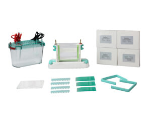 Vertical Electrophoresis System