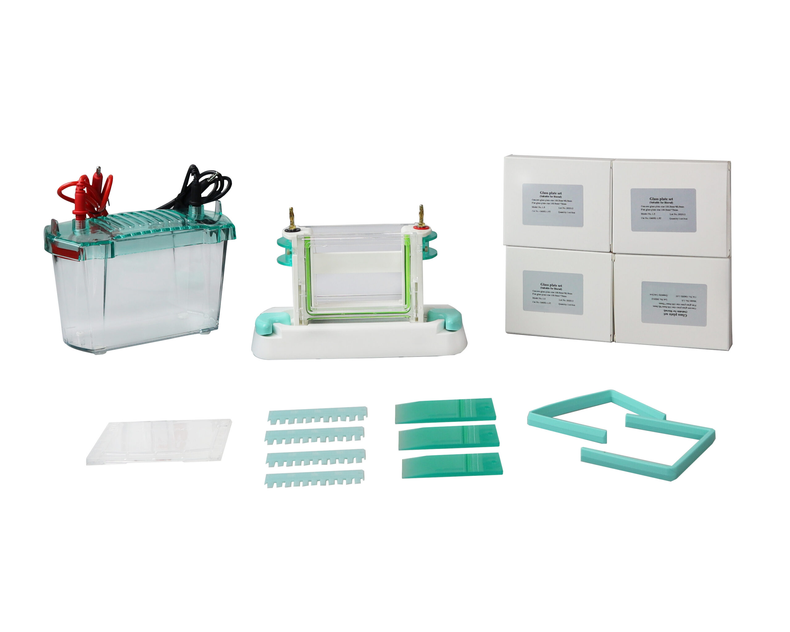 Vertical Electrophoresis System