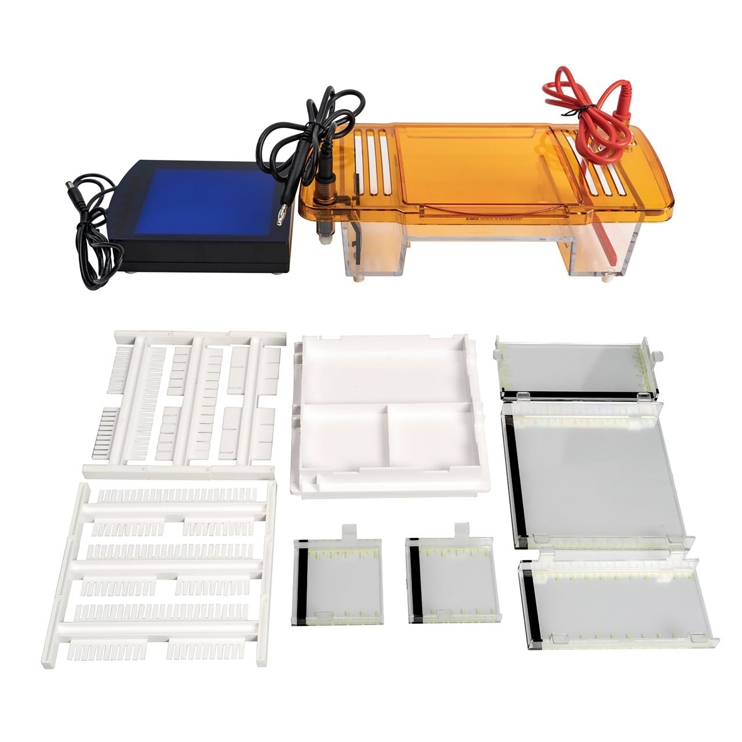 Horizontal Electrophoresis System w/Blue Light Illuminator - Image 5