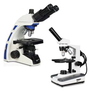 MICROSCOPY