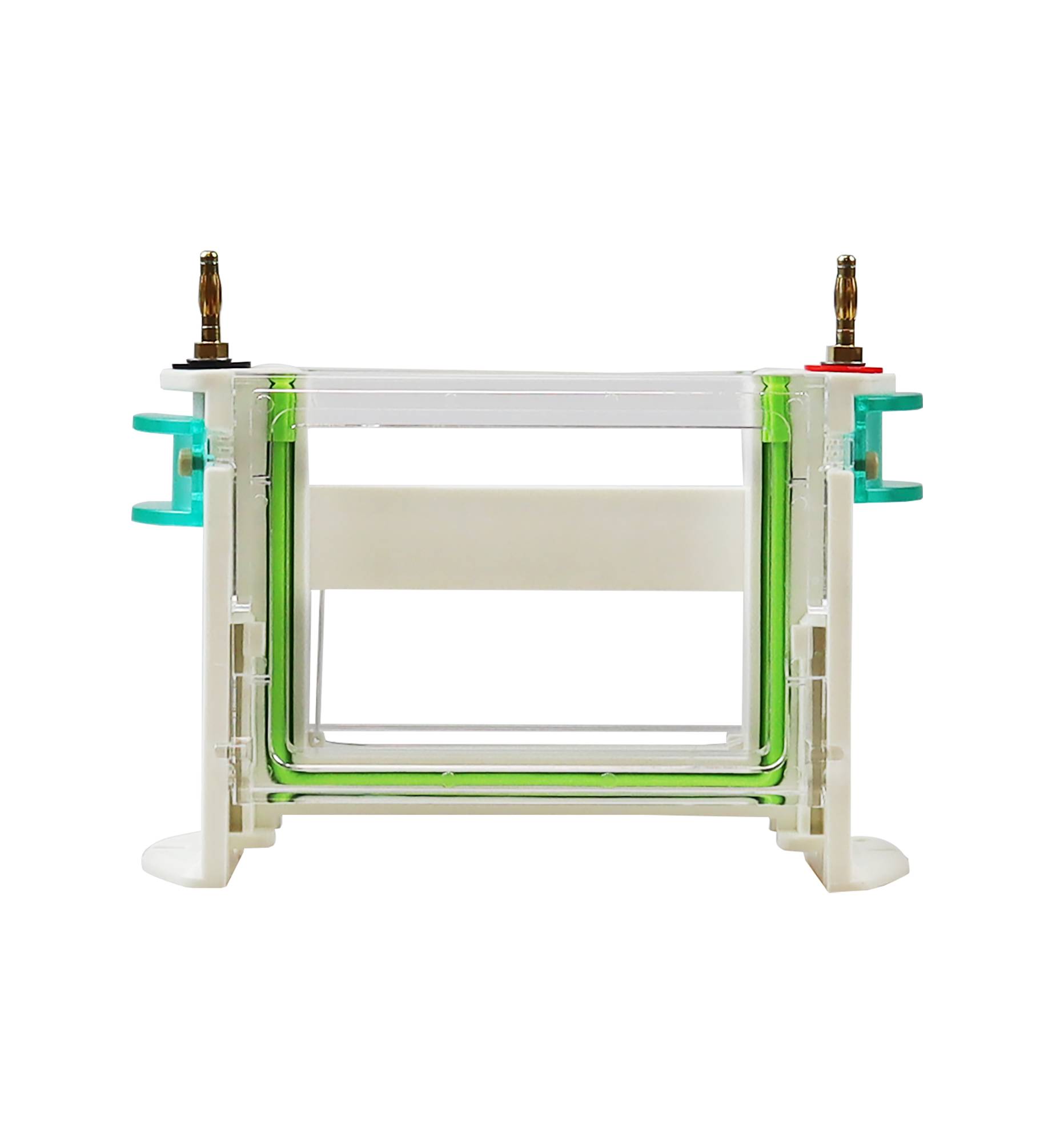 Vertical Electrophoresis System - Image 3